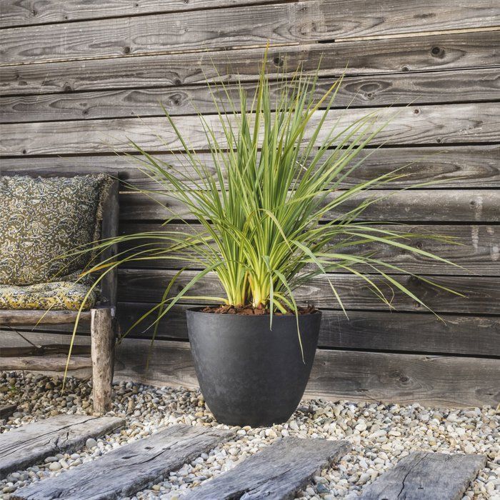 Pot de fleurs Rond Ř 40 cm - EDA - Element - 26,2 L - Intérieur / Extérieur - Ř 39,4 x H. 31,6 cm - Gris Anthracite