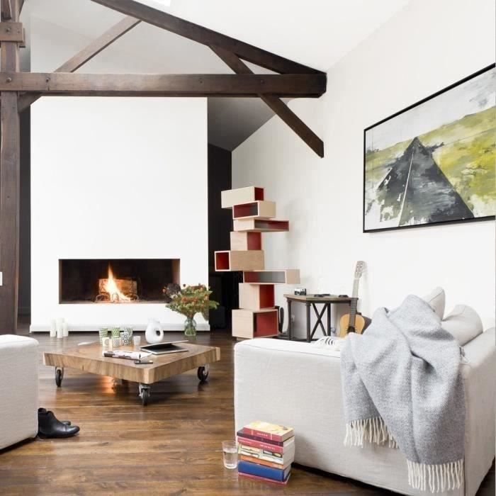 RIPOLIN Peinture blanche pour murs et plafonds - sous-couche intégrée - Blanc mat - 10 L