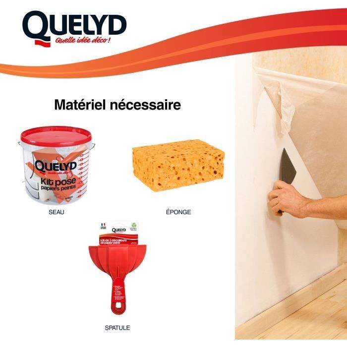 Décolleur papier peint - QUELYD - Dissoucol - Lessive - Supprime les résidus - Flacon 500 ml (280 m²)