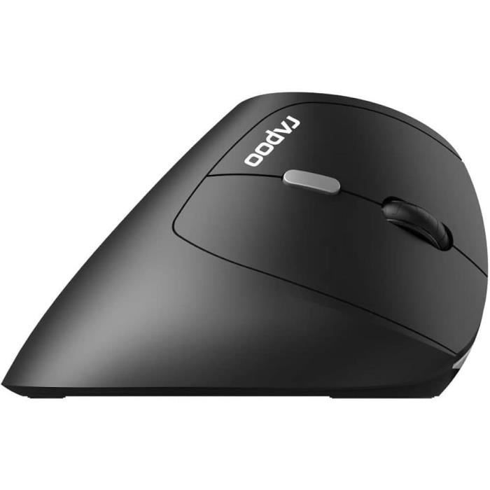 Souris sans fil - RAPOO - EV250 - Ergonomique - 1600 DPI - Clic silencieux