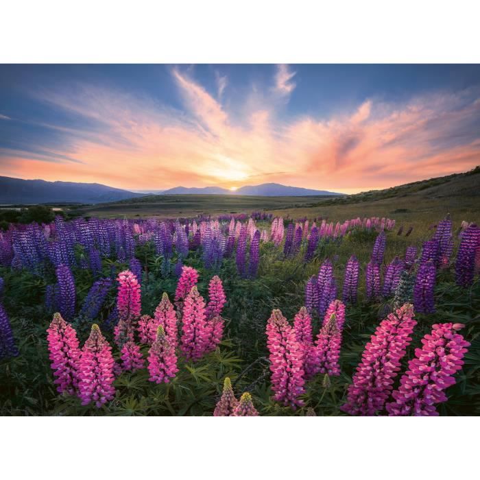 Puzzle 500 pieces Les lupins (Nature edition), Des 12 ans , Puzzle de qualité supérieure, 12000688, Ravensburger
