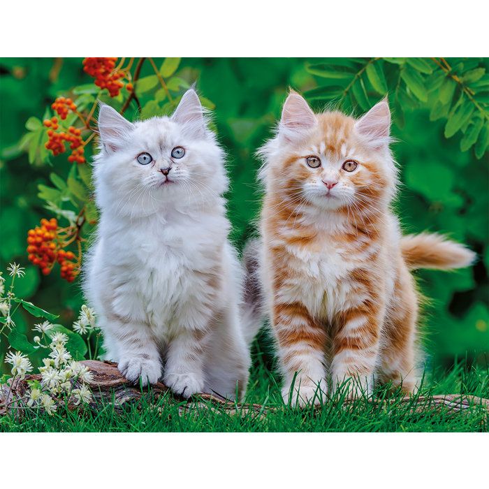 Nathan - Puzzle 2000 pieces - Chatons Sibériens -des 14 ans - Puzzle de qualité supérieure - Collection Tendresse - 12001868