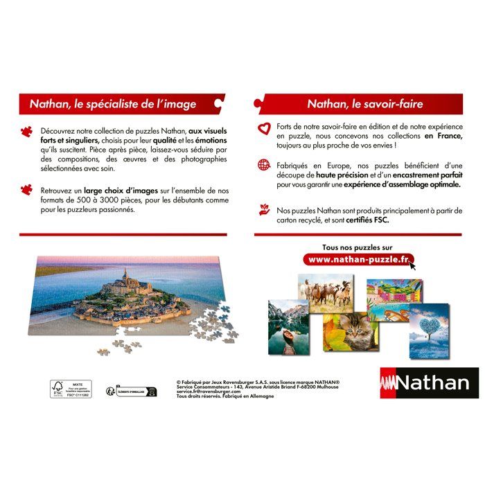 Nathan - Puzzle 1000 pieces - Lionceau du désert - des 14 ans - Encastrement parfait - Collection Vie sauvage - 12001884