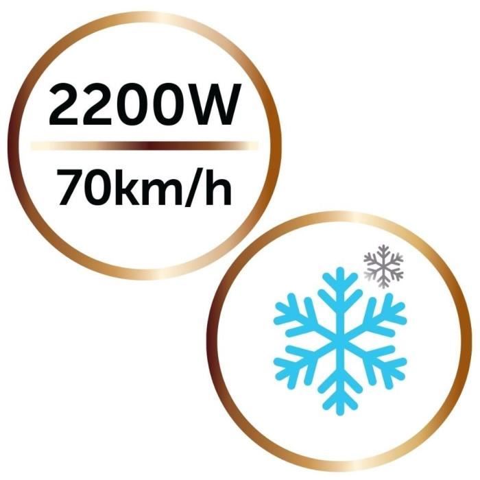 Seche-cheveux Remington D6098 - 2200W Ionique - Brillance Cheveux Naturels et ColorÈs