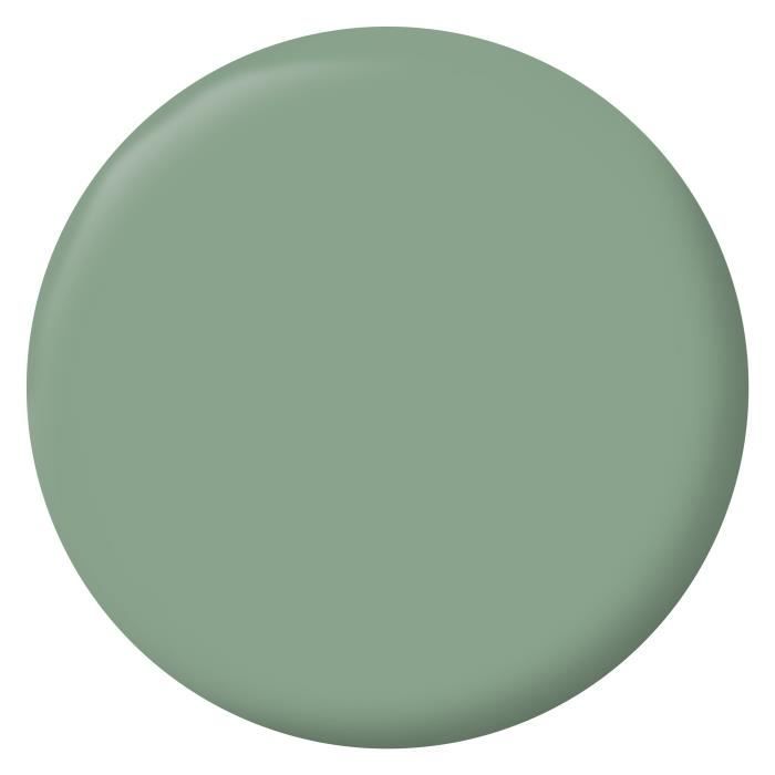 Peinture Intérieure - Vert Simsun - 2,5L - Haute Opacité - Lessivable