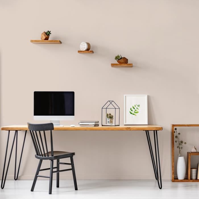 Peinture Intérieure - Café au Lait - 2,5L - Velours - Haute Opacité - Lessivable