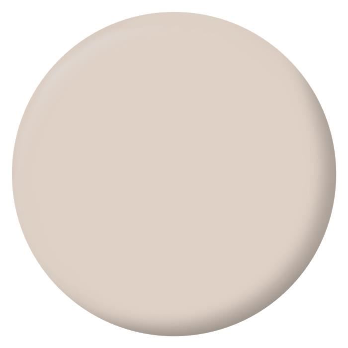 Peinture Intérieure - Café au Lait - 2,5L - Velours - Haute Opacité - Lessivable