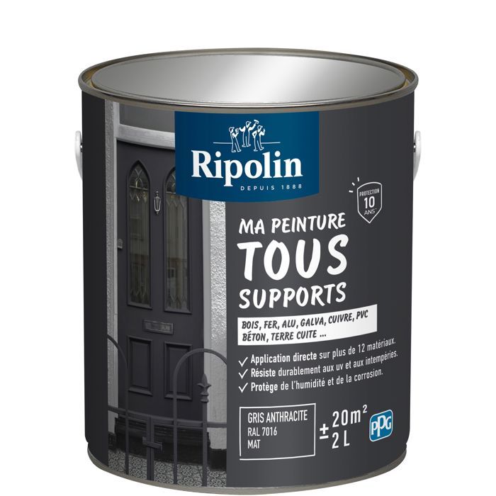 Peinture multi-supports - Gris anthracite - RAL 7016 - Mat - Ripolin - 2L
