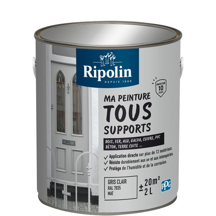 Peinture multi-supports - Gris clair - RAL 7035 - Mat - Ripolin - 2L