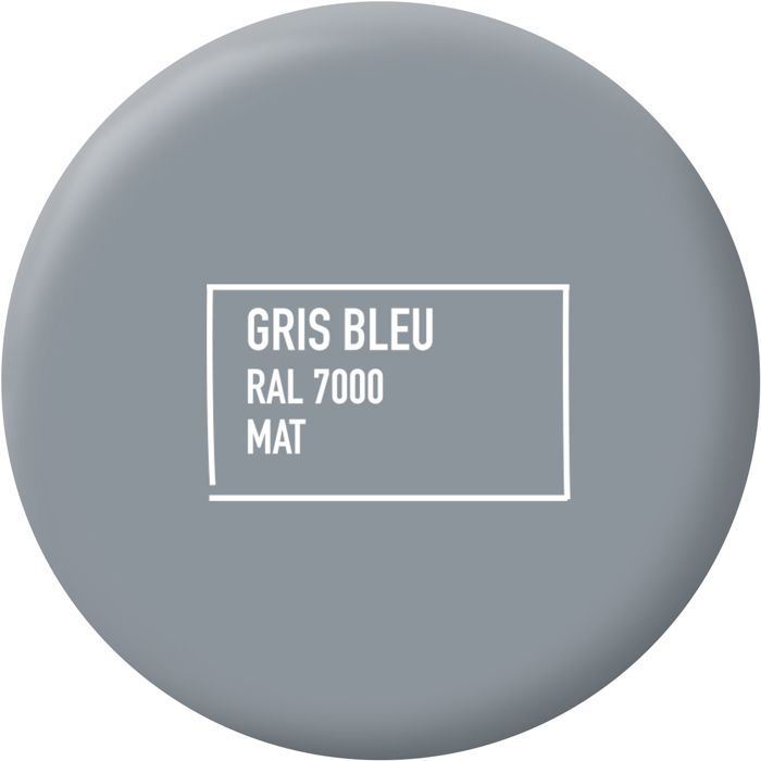 Peinture multi-supports - Gris bleu - RAL 7000 - Mat - Ripolin - 2L