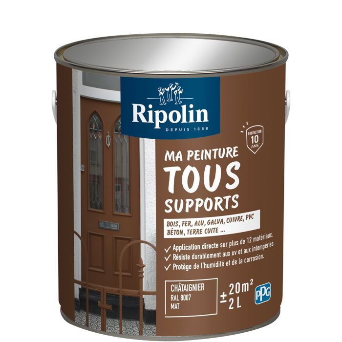 Peinture multi-supports - Châtaigner - RAL 8007 - Mat - Ripolin - 2L