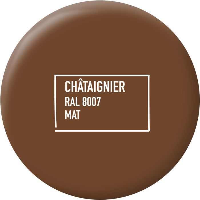 Peinture multi-supports - Châtaigner - RAL 8007 - Mat - Ripolin - 2L