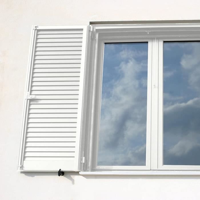 RIPOLIN Peinture Bois Satin Haute Protection 10 ans qui Protege et Magnifie vos Bois - Blanc