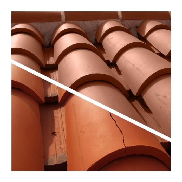 Revetement Anti-Infiltrations Toiture - RIPOLIN - Terre cuite - 4L - Bicouche - Extérieur
