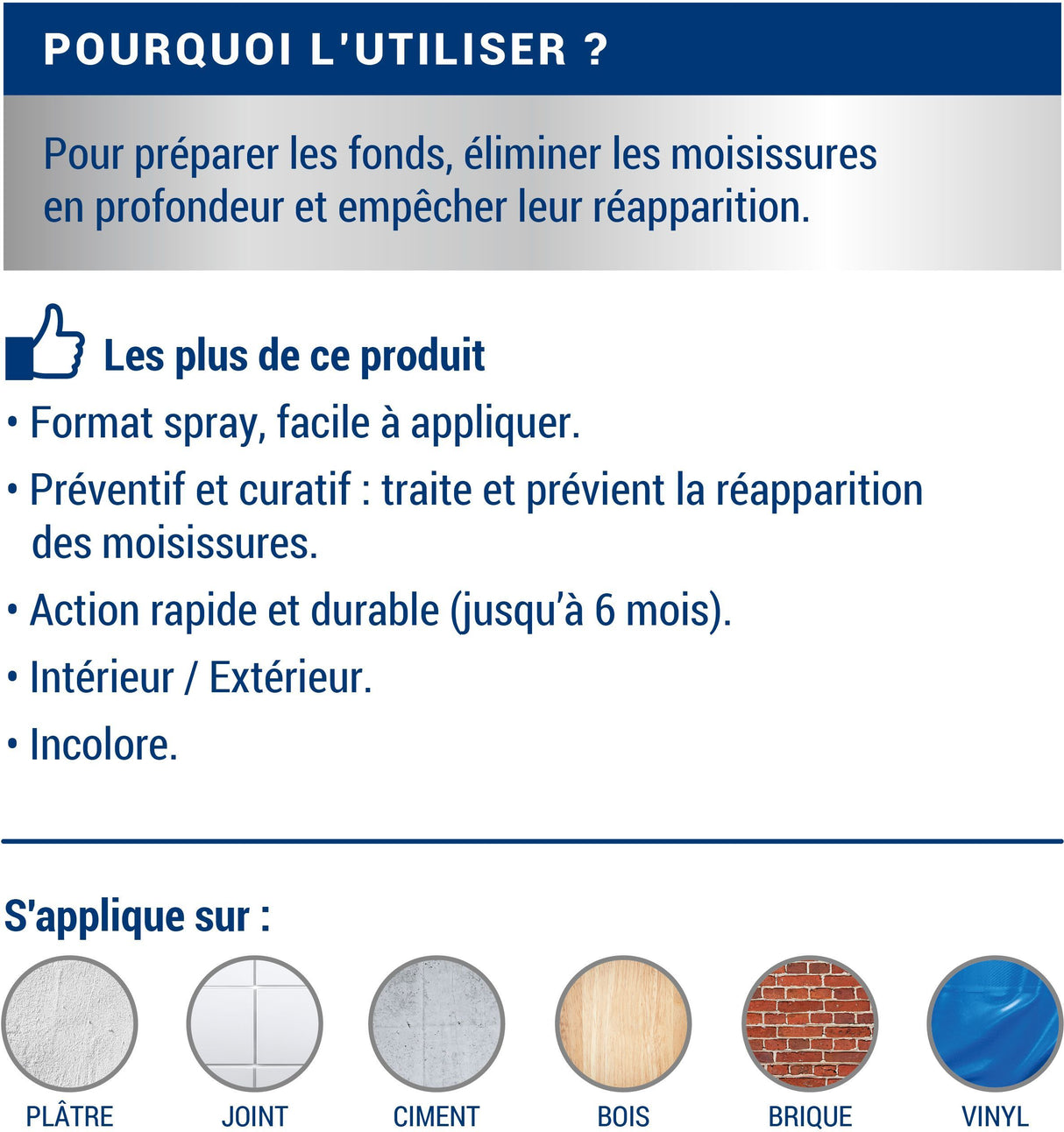 Anti-Moisissure - Incolore - Ripolin - 0,5L