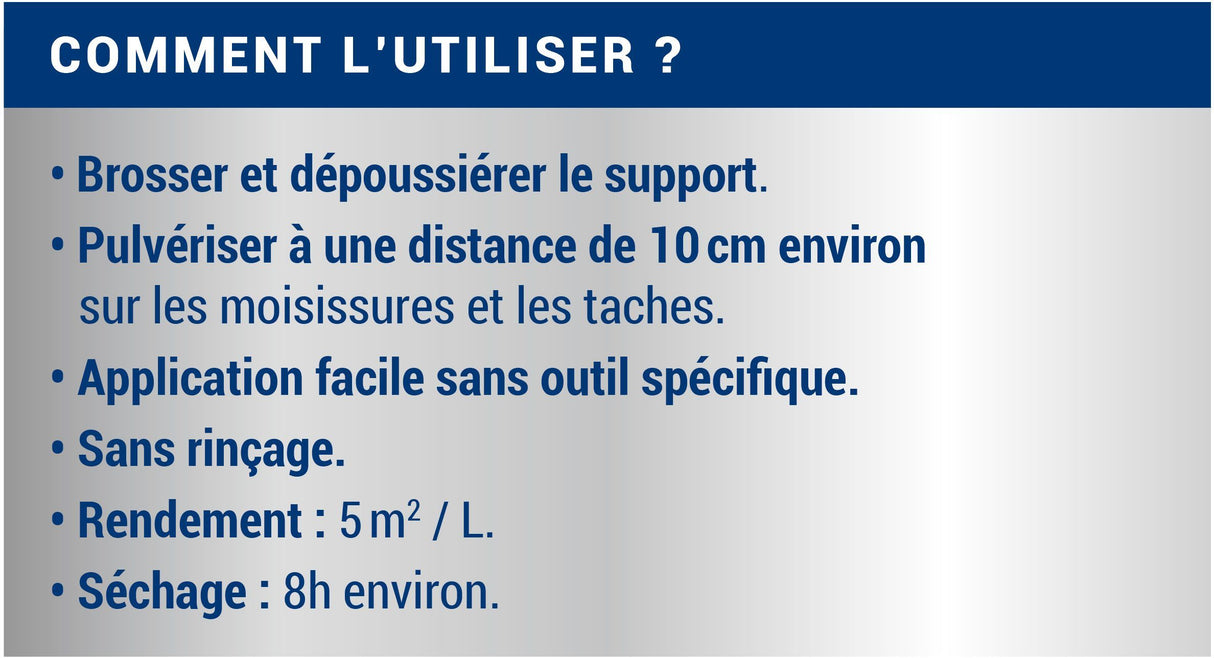 Anti-Moisissure - Incolore - Ripolin - 0,5L