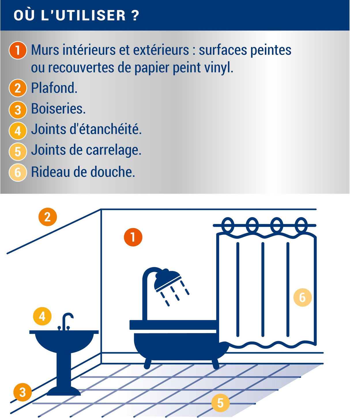 Anti-Moisissure - Incolore - Ripolin - 0,5L