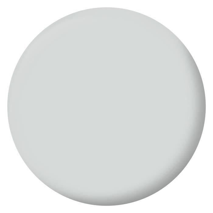 RIPOLIN Peinture Couleur Velours pour Murs, Boiseries Radiateurs - Gris souris