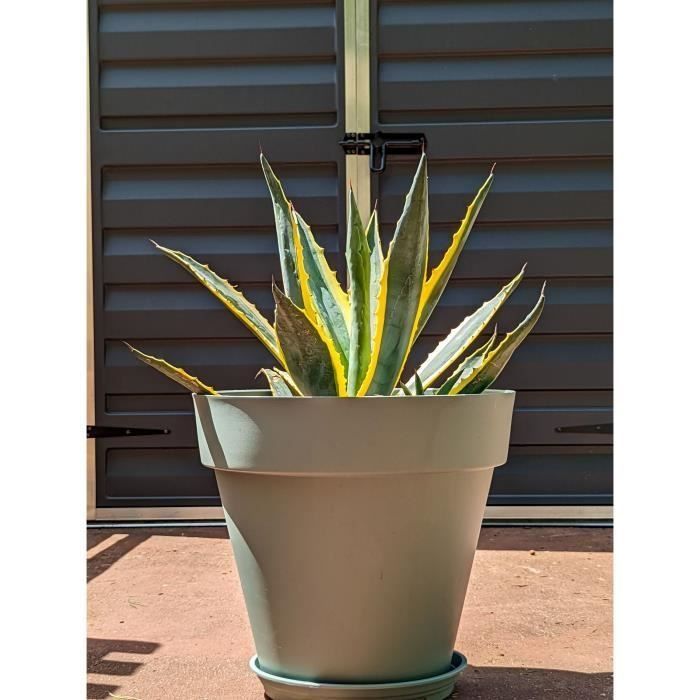 Pot de fleurs rond - RIVIERA - SOLEILLA - Plastique - D49 x H45 cm - Vert argile
