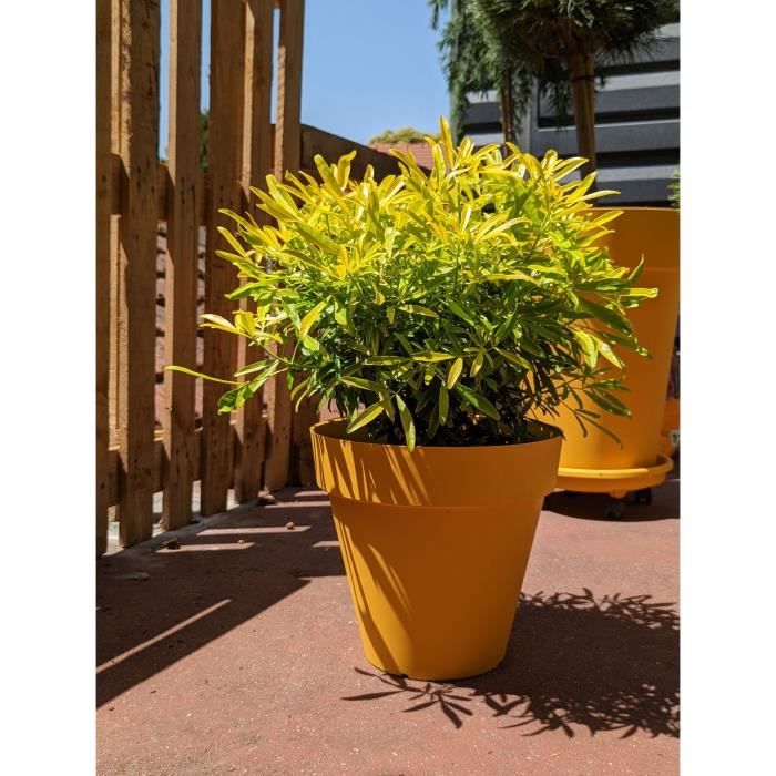 Pot de fleurs rond RIVIERA - SOLEILLA - Plastique - D59 x H54 cm - Jaune