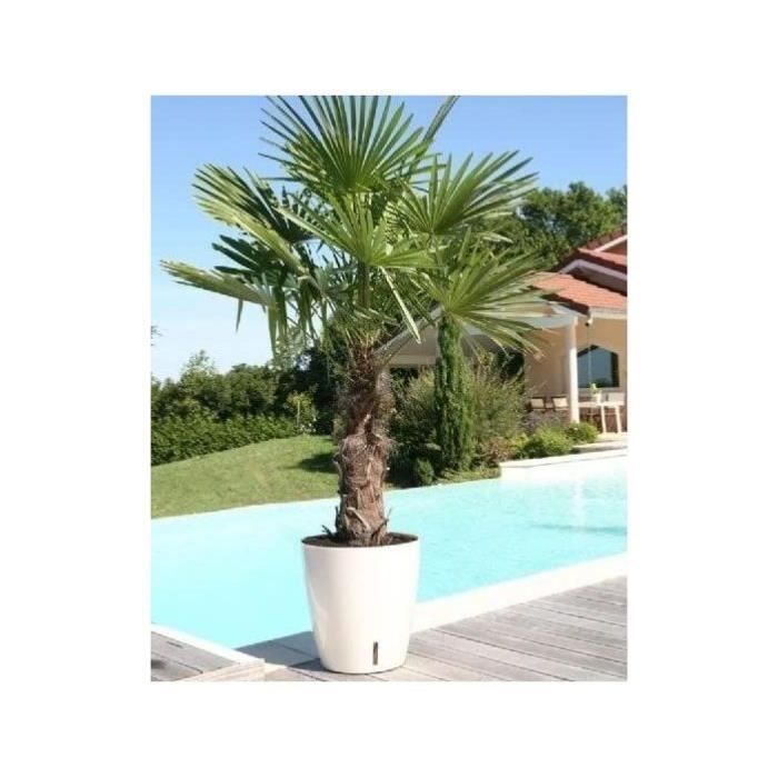 Pot de fleurs rond - RIVIERA - EVA NEW - Plastique - D35 x H33 cm - Bleu