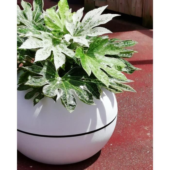 Bac a fleurs rond - RIVIERA - GRANIT BOULE - Plastique - D50 H34,5 cm - Blanc