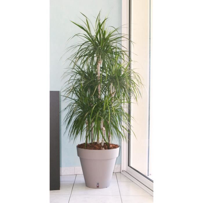 Pot de fleurs - RIVIERA - Loft avec réserve d'eau - Rond - Ø59 x H53,5 - 83L - Taupe