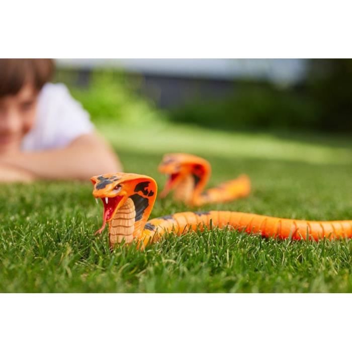 Serpent robotisé - ROBO ALIVE - Cobra - Déplacement sinueux - Langue mobile - Effets effrayants