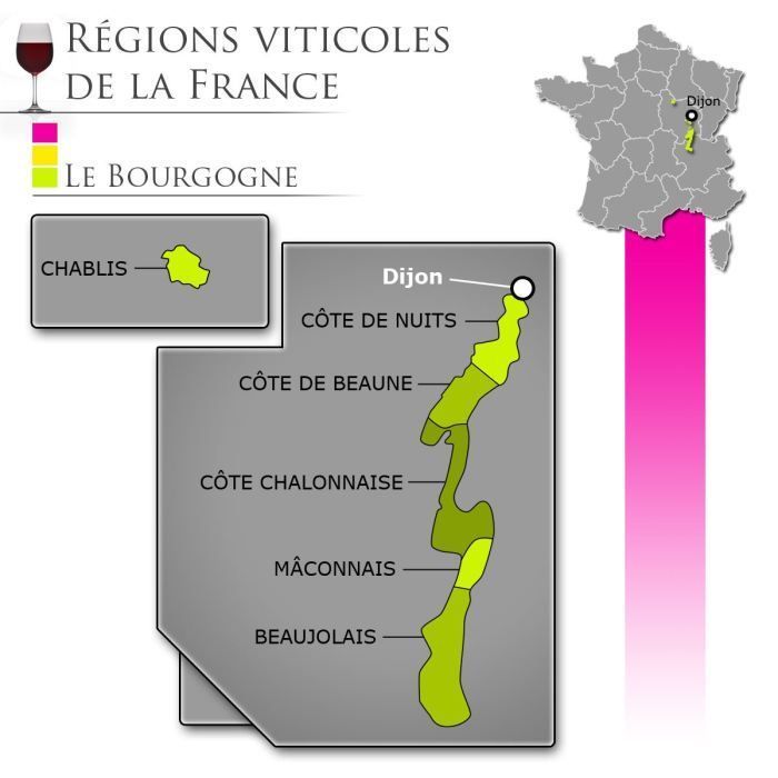 Reine Pédauque 2023 Pinot Noir - Vin rouge de Bourgogne