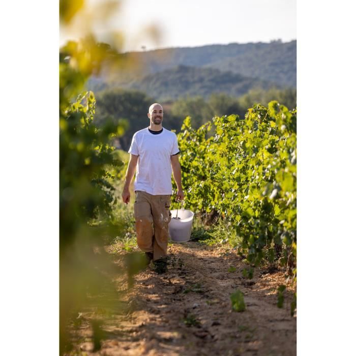 Saint X Rosé 2024 - IGP Méditerranée - Vin rosé de Provence 75cl