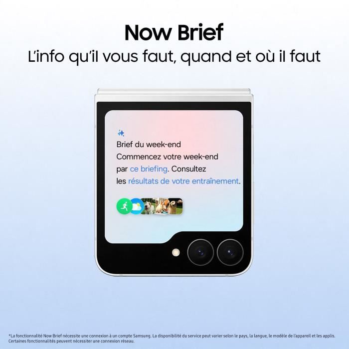 Samsung Galaxy Z Flip7 FE 5G Smartphone 256 Go Noir