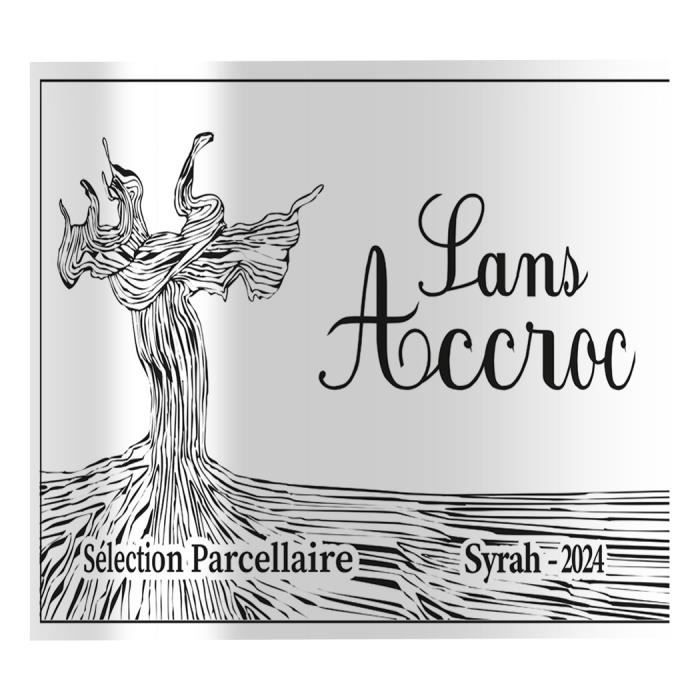 Sans Accroc 2024 Sélection parcellaire Vin de la Vallée du Rhône Syrah - Vin de France rouge