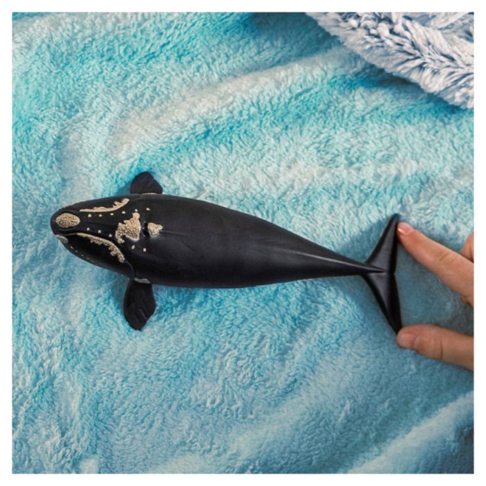 Figurine Baleine de l'Atlantique, Schleich 14878 Wild Life, des 5 ans