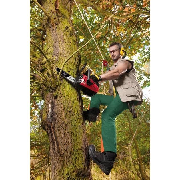 Elagueuse thermique CSP2540 - 25 cm - 25 CC - SCHEPPACH