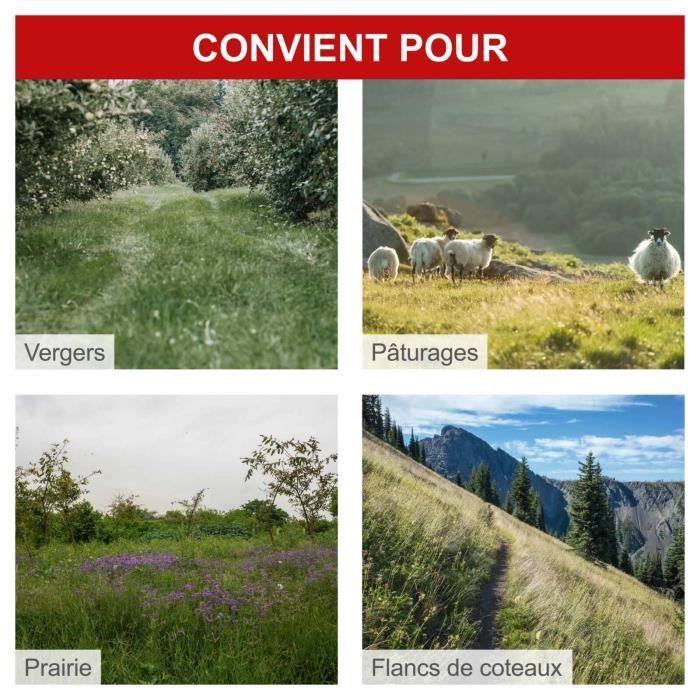 Motofaucheuse BMS196-88 - largeur de coupe de 88cm - 196 CC - SCHEPPACH