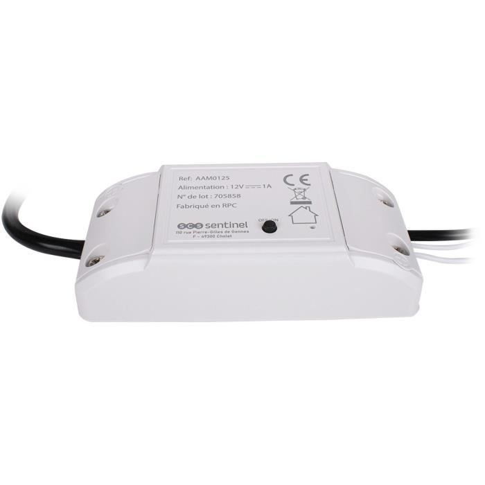 Module récepteur - SCS SENTINEL - WifiGate - Connecté