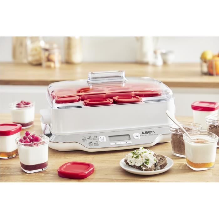 SEB Yaourtiere 12 pots 140 ml, Yaourts et desserts maison, 5 programmes automatiques, 100 % sans BPA, FabriquÈ en France YY5114FB