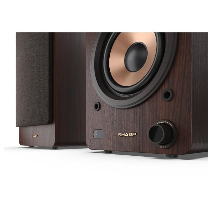 Haut-parleurs Bluetooth - SHARP - CP-SS30(BR) - Bibliotheque Marron - 2x 30W - 2 voies - Sans fil - 60W RMS