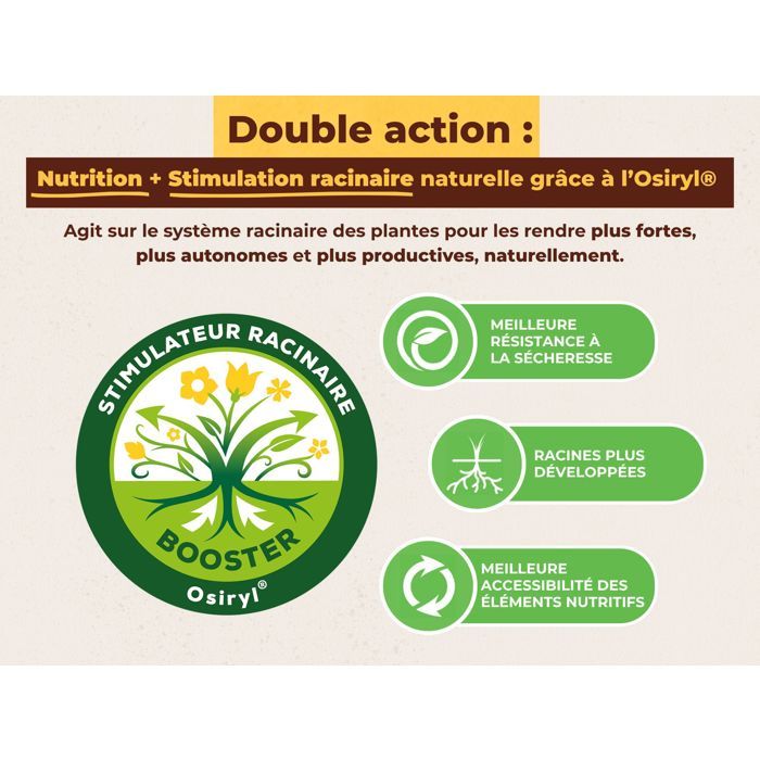 SOLABIOL Engrais palmiers et plantes méditerranéennes - 1,5kg - Jusqu'a 7 palmiers - Pour un feuillage fort & dense