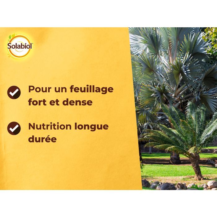 SOLABIOL Engrais palmiers et plantes méditerranéennes - 1,5kg - Jusqu'a 7 palmiers - Pour un feuillage fort & dense