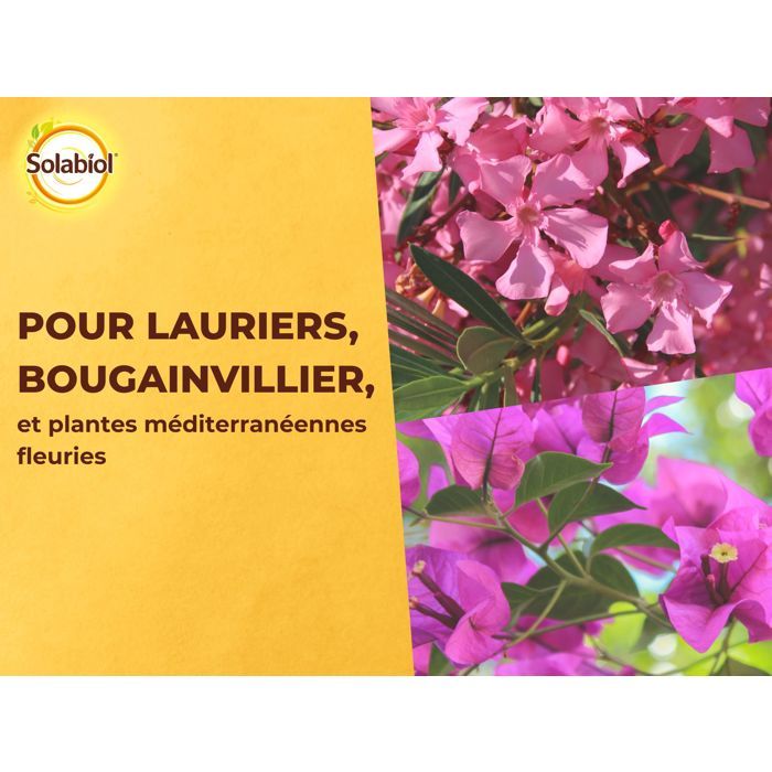 SOLABIOL Engrais lauriers & bougainvilliers - 1,5kg - Jusqu'a 30 pieds - Favorise la floraison et la croissance