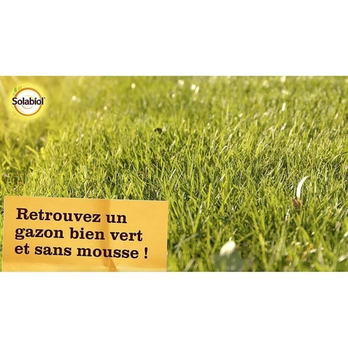 SOLABIOL - Engrais Gazon Anti-Mousse Double Action 80m2 - Etui 3,2 kg