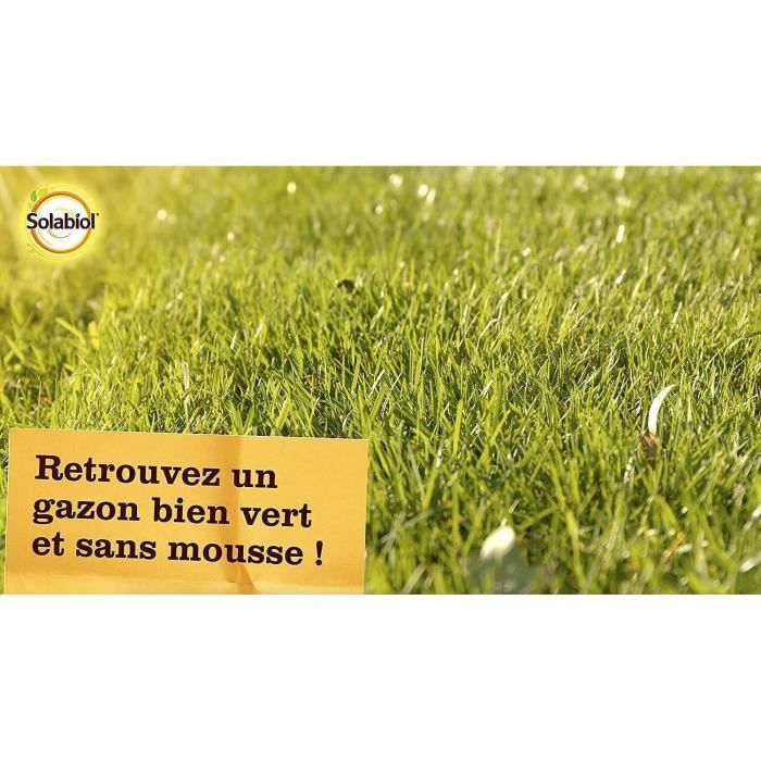SOLABIOL - Engrais Gazon Anti-Mousse Double Action 80m2 - Etui 3,2 kg