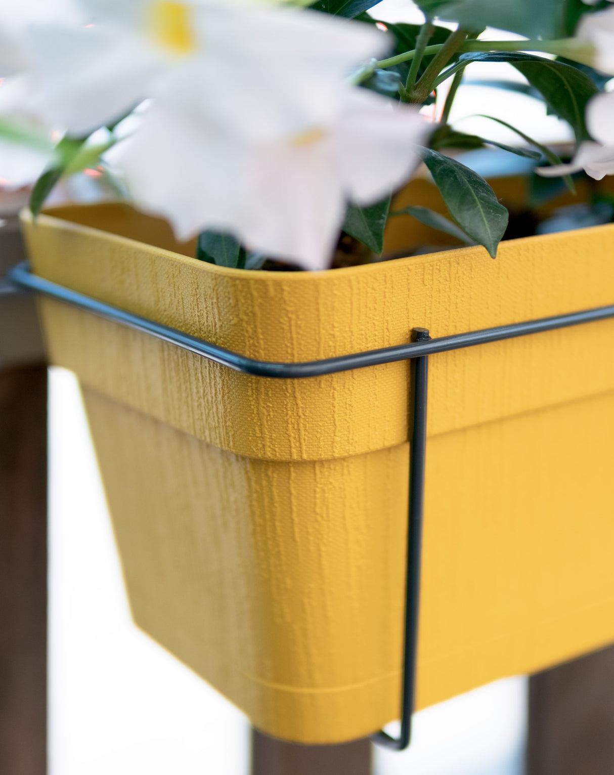 STEFANPLAST Balconniere ETHICA - 9 L - 50x18 x h17 cm - Moutarde