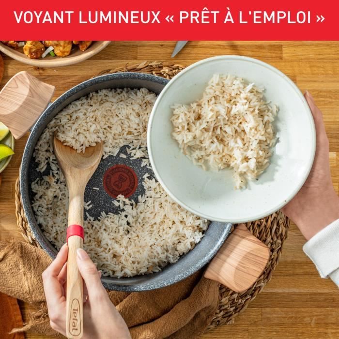 TEFAL Faitout 24 cm + panier vapeur, Induction, Revetement antiadhÈsif, + MinÈraux naturels, Thermo-Signal, FabriquÈ France G2669003