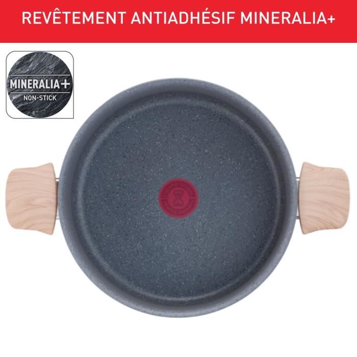 TEFAL Faitout 24 cm + panier vapeur, Induction, Revetement antiadhÈsif, + MinÈraux naturels, Thermo-Signal, FabriquÈ France G2669003