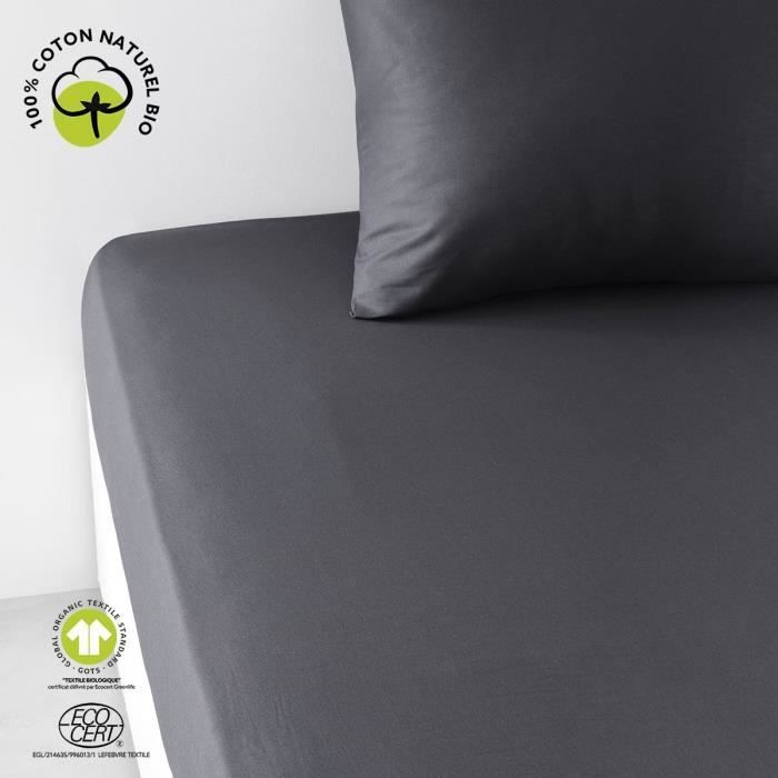 Drap housse - TODAY - 160 x 200 cm + 30 cm - Coton - Organic Fusain