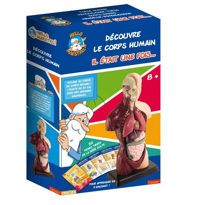 HELLO MAESTRO Buste anatomie - DÈcouvre le corps humain