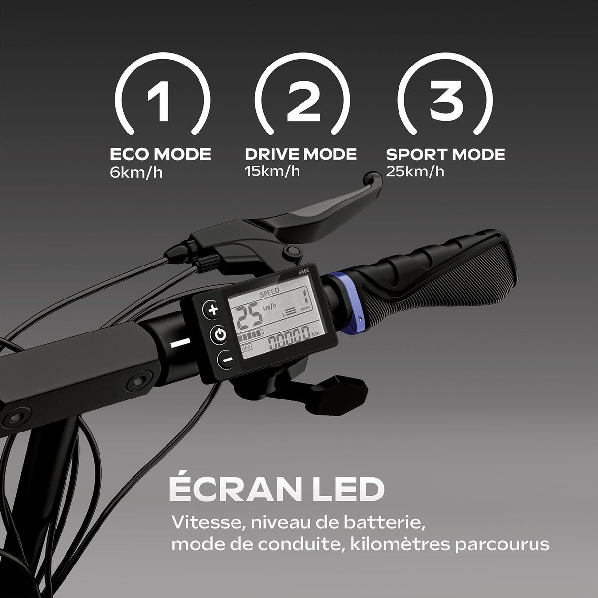 Trottinette électrique - URBANGLIDE - ECROSS ONE - 800 W - Pneus 10 - Max 25 km/h - Autonomie jusqu'a 50 km