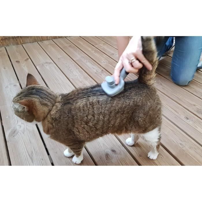 Brosse toilettage - VETOCANIS - Carde auto-nettoyante pour chat - Rétractable - Pour poils longs